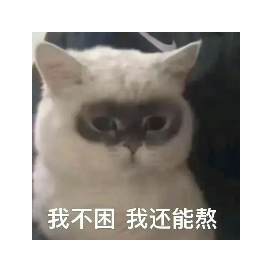 赵绝尘