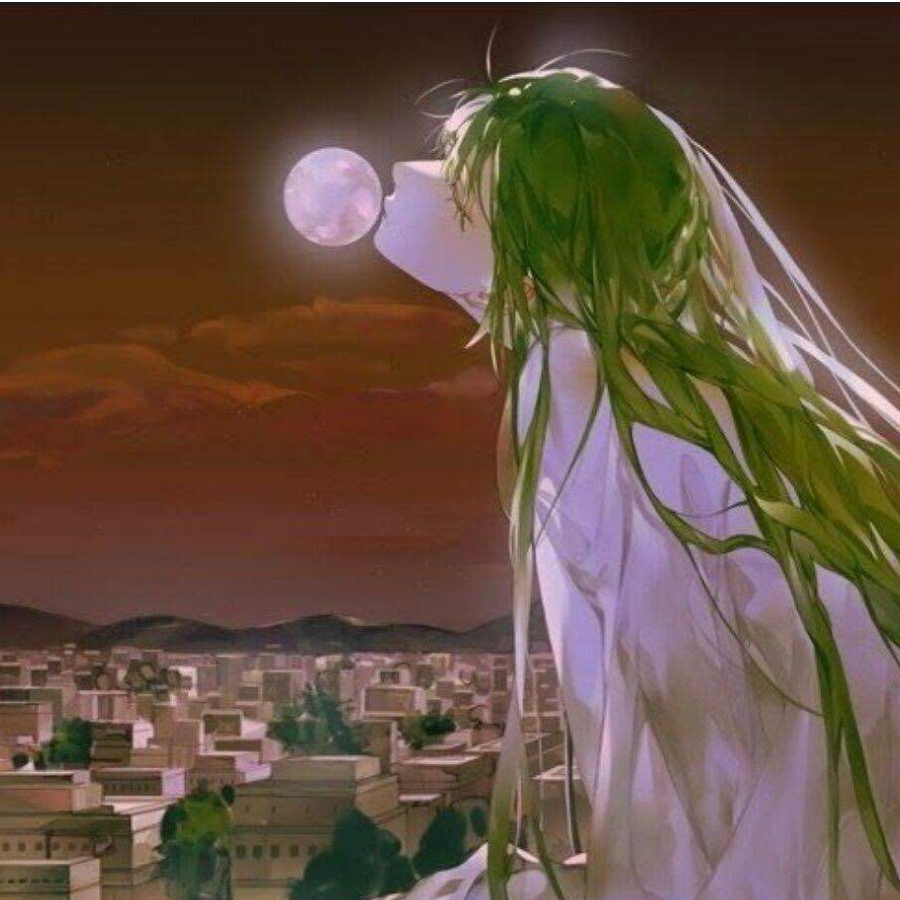 湫昼