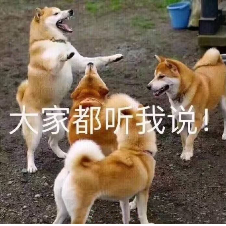 宇与鱼