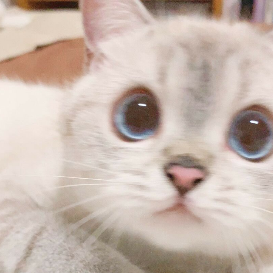 横湖十顷琉璃碧
