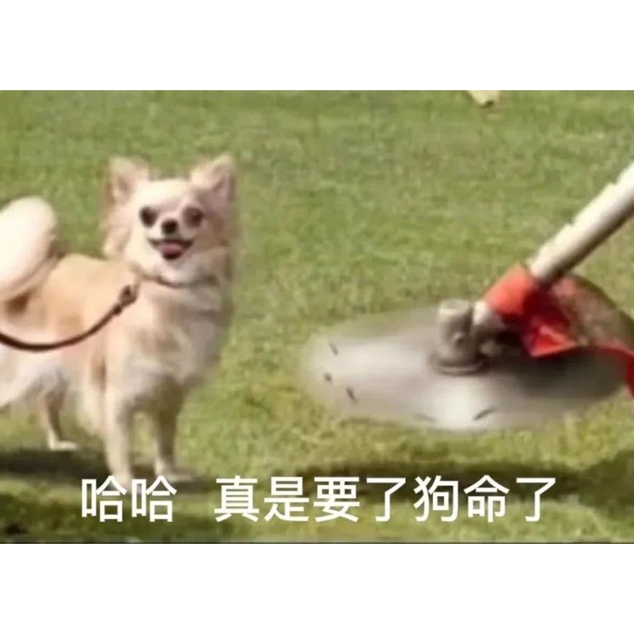 氧气瓶子