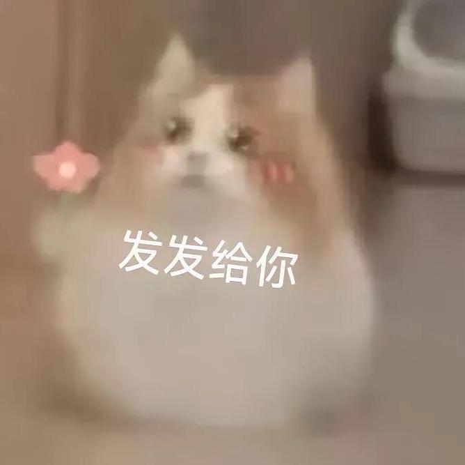 ꧁你大哥我꧂