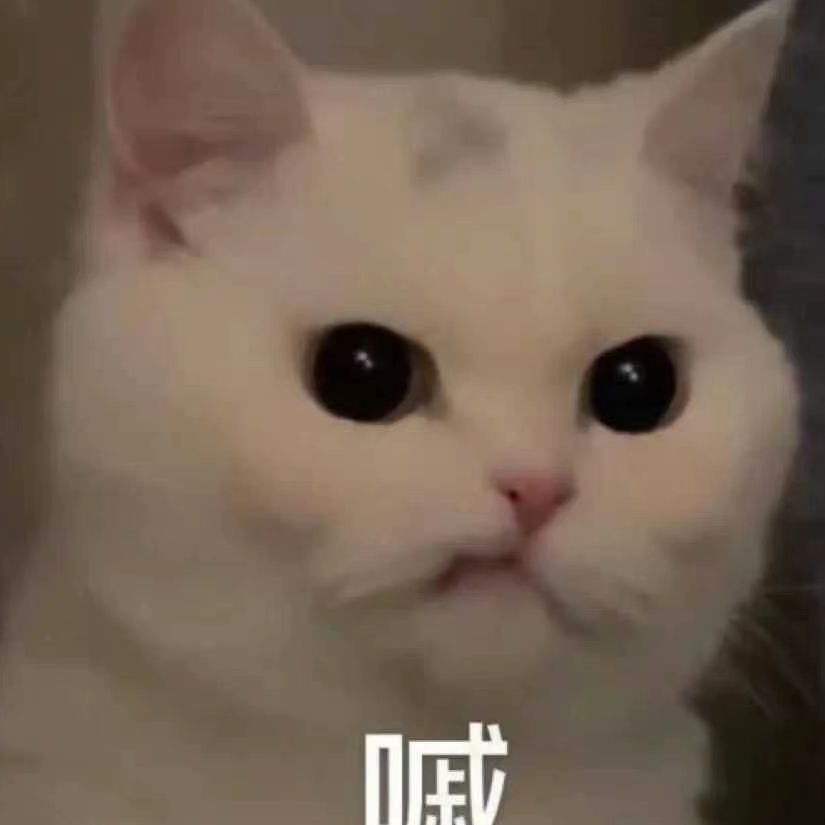 狂炫酷乱拽