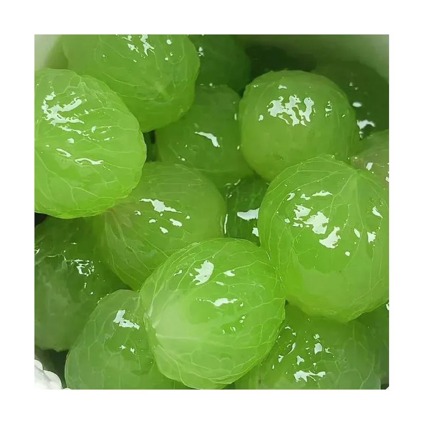 粉碎敌人乌龟壳