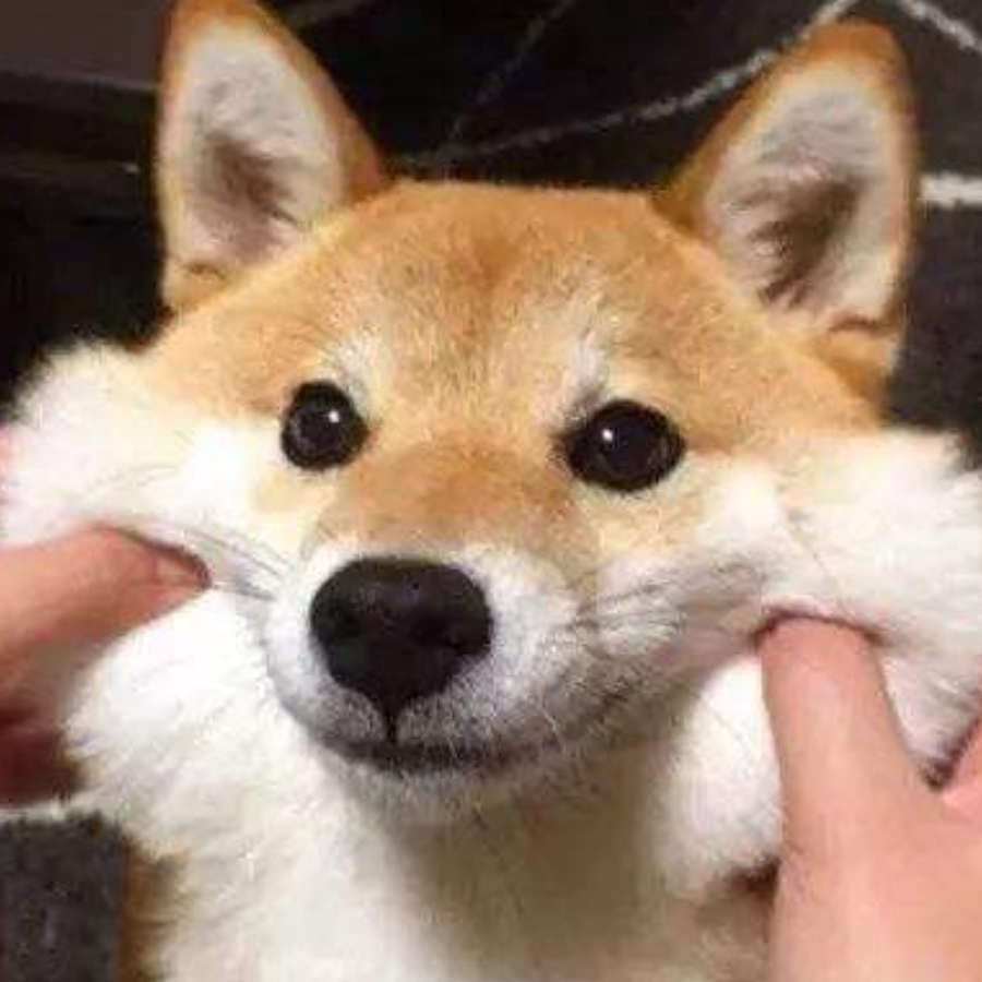 也许.
