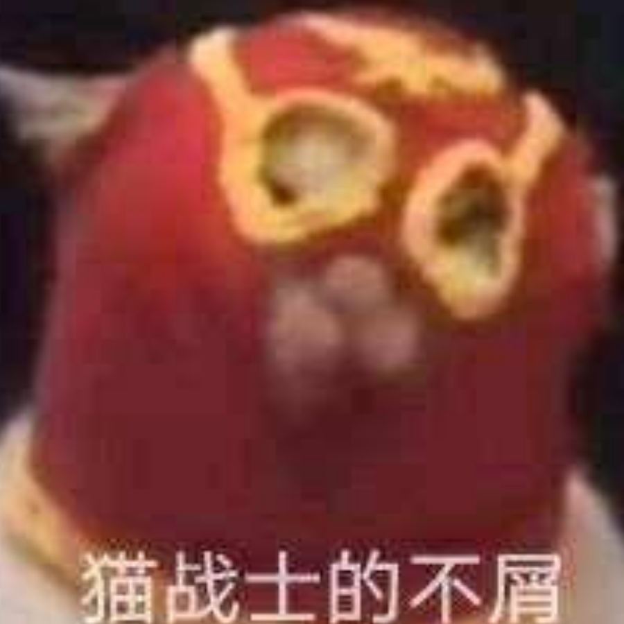 无敌的猫战士