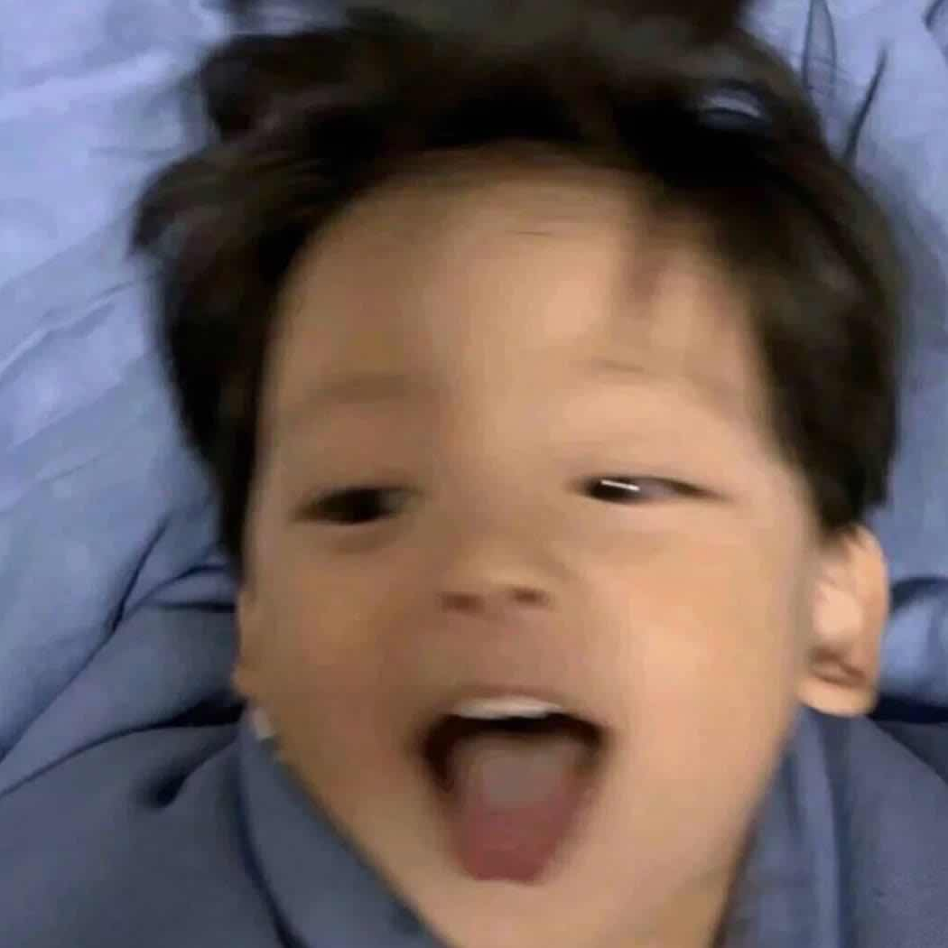 思美人