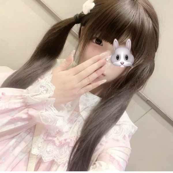 韩  淑  情の