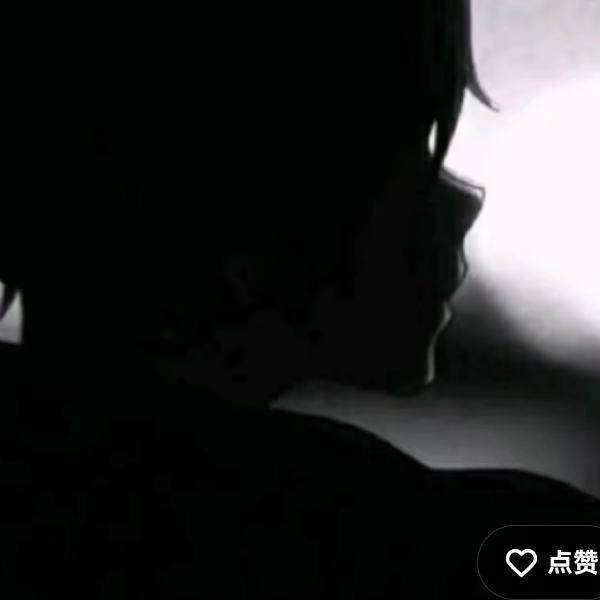 布鲁可. 小凯