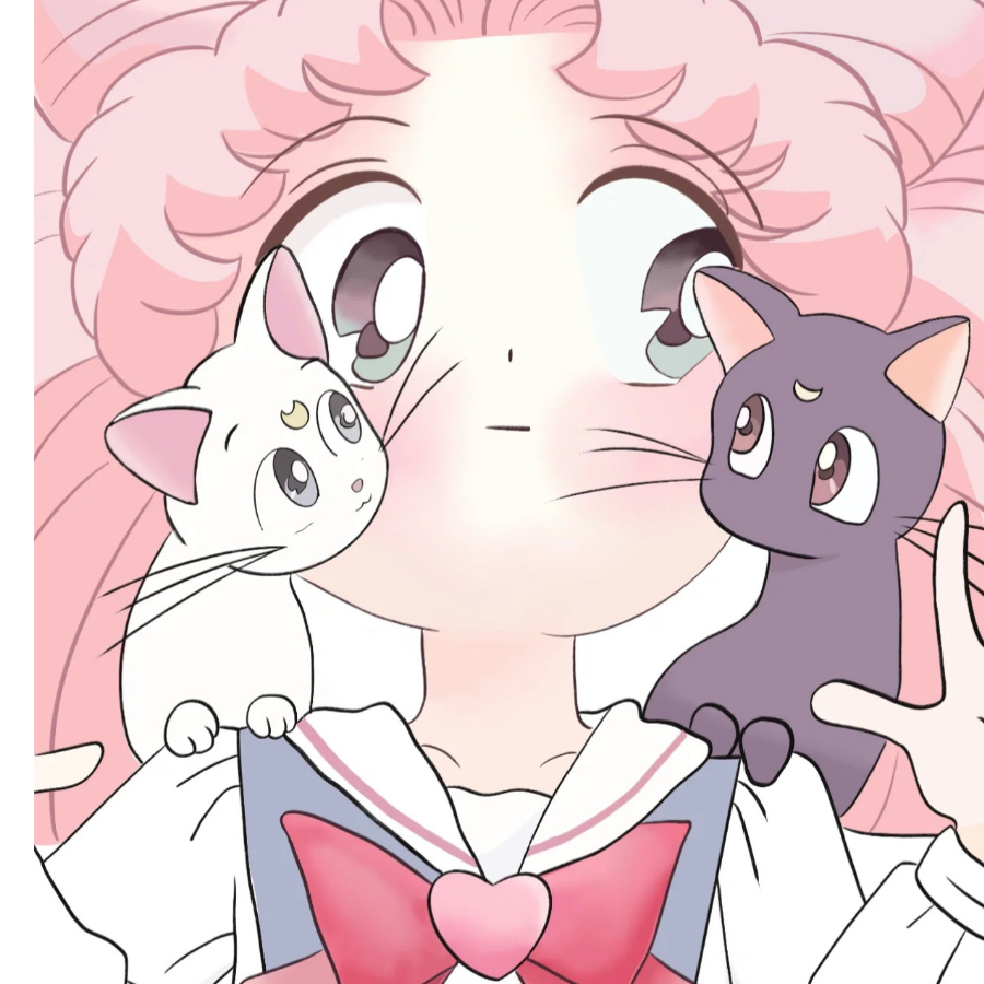 秋菏爱养猫