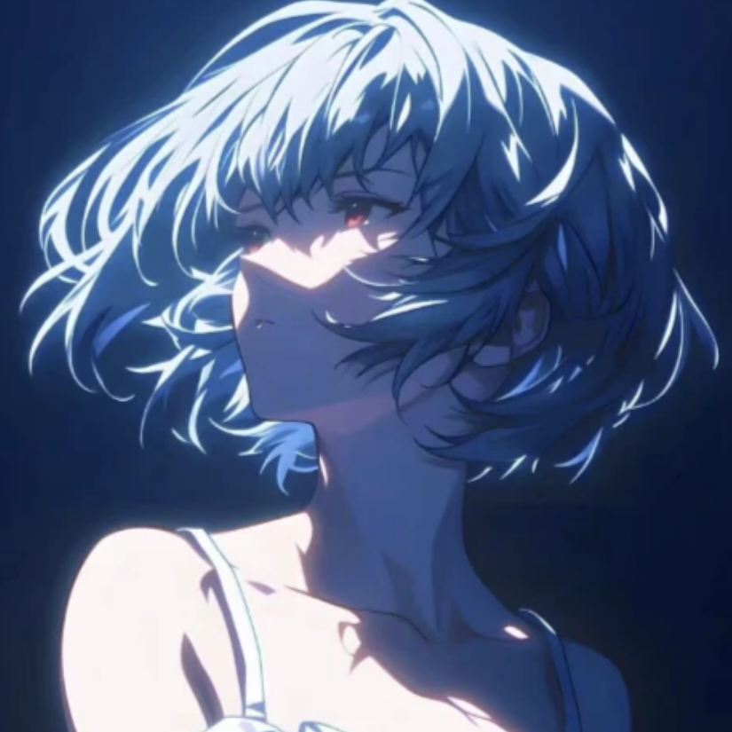 洋甘菊114