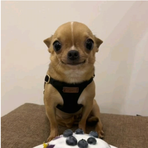 ∥