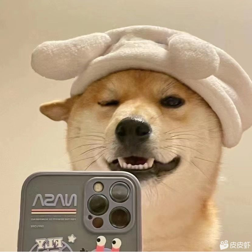 黑白君