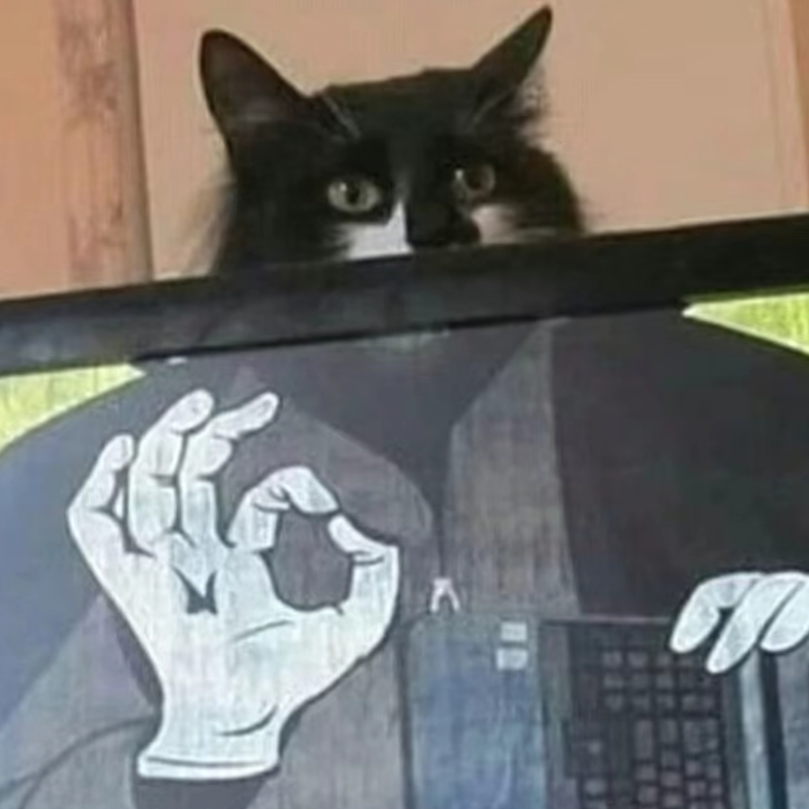 凫凫凫