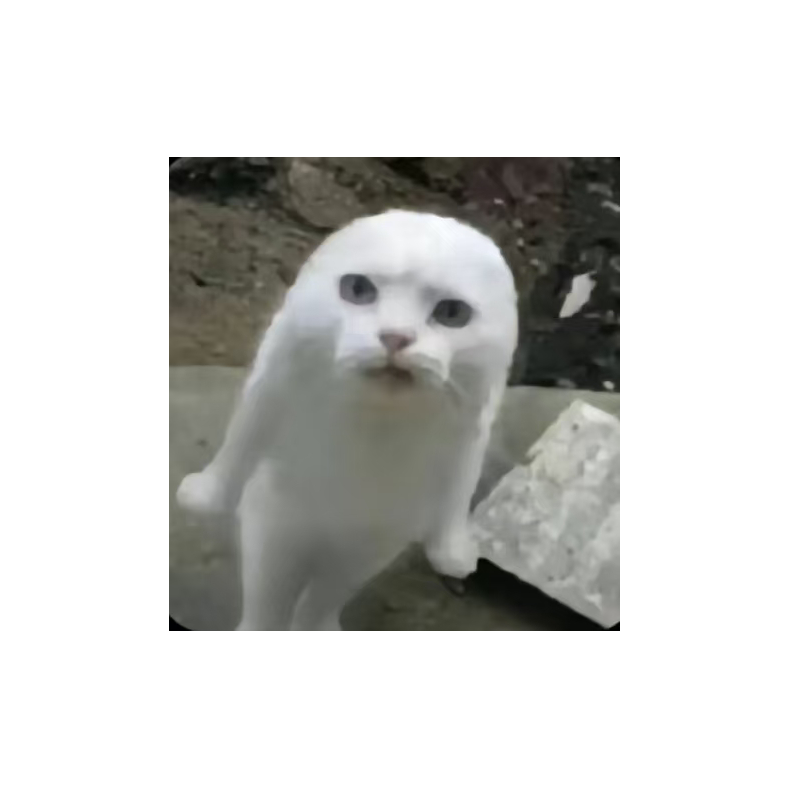 Kamisama