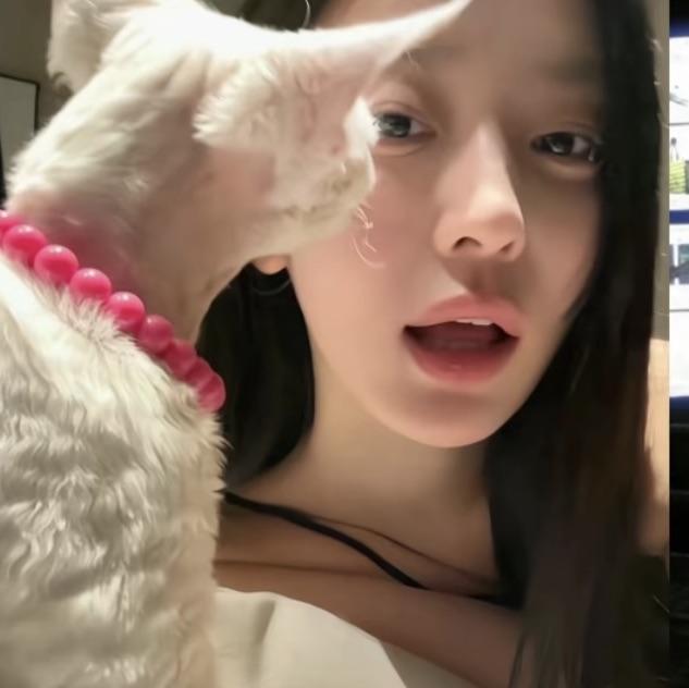 懒得和你讲哦