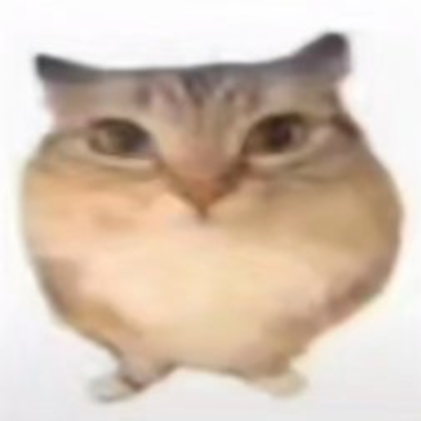 温果泥
