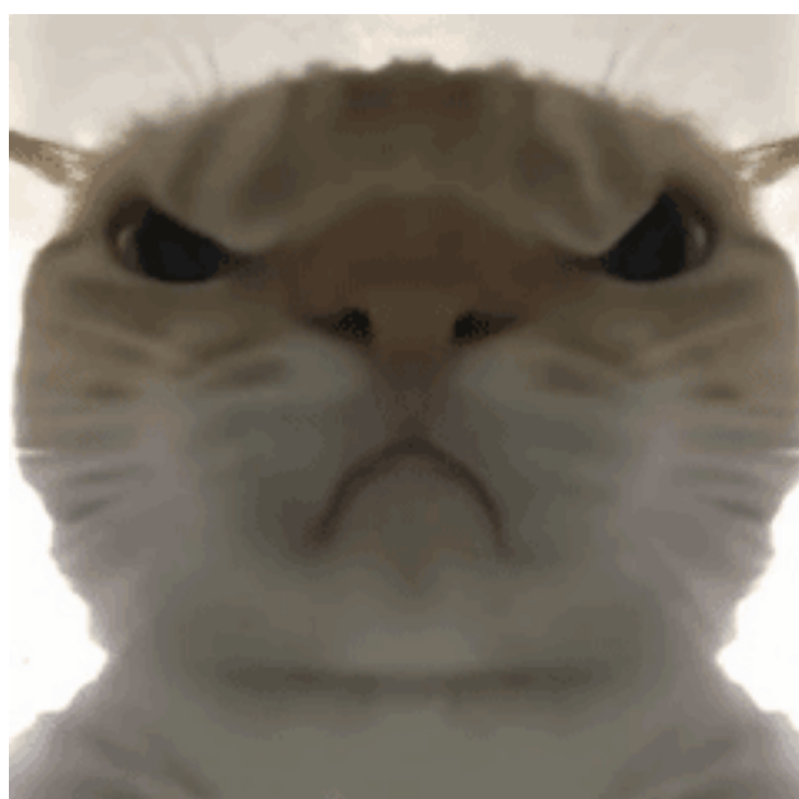 赤旋式