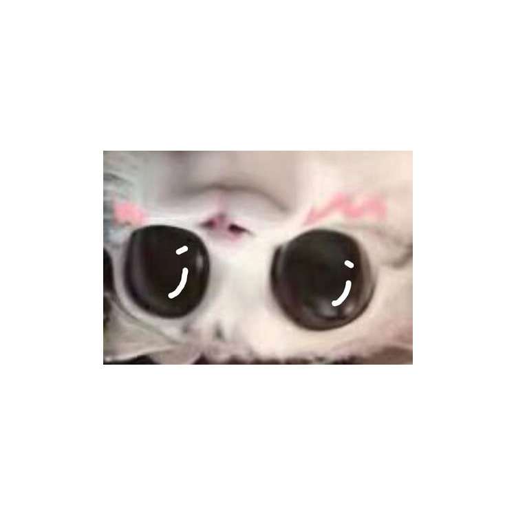 黑洞函数