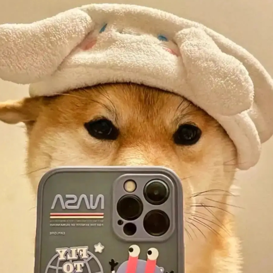 豪杰