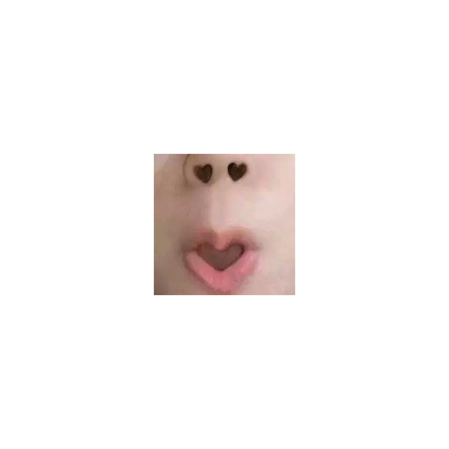 王木木