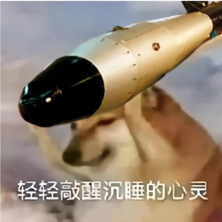 二哈啊