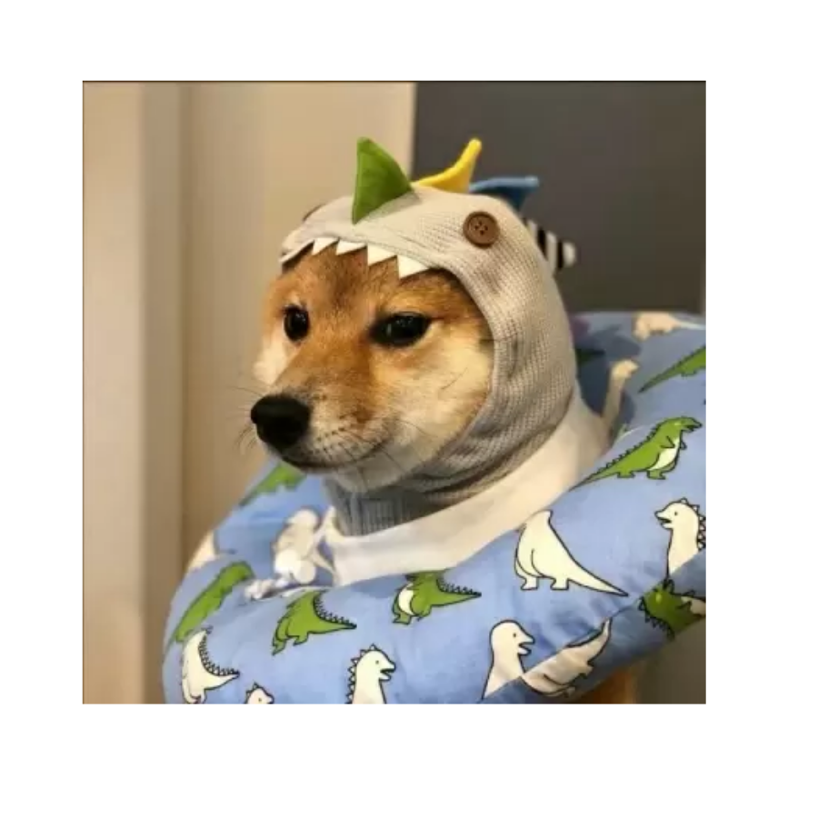 悍匪墨成