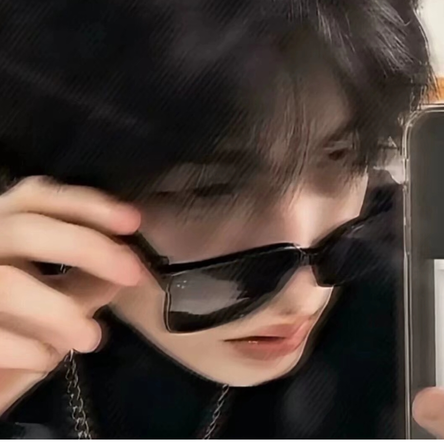 阳光下慵懒的猫