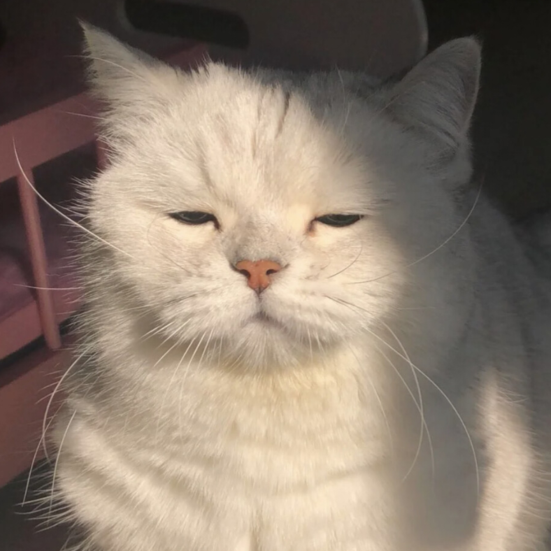 猎物 ovo.