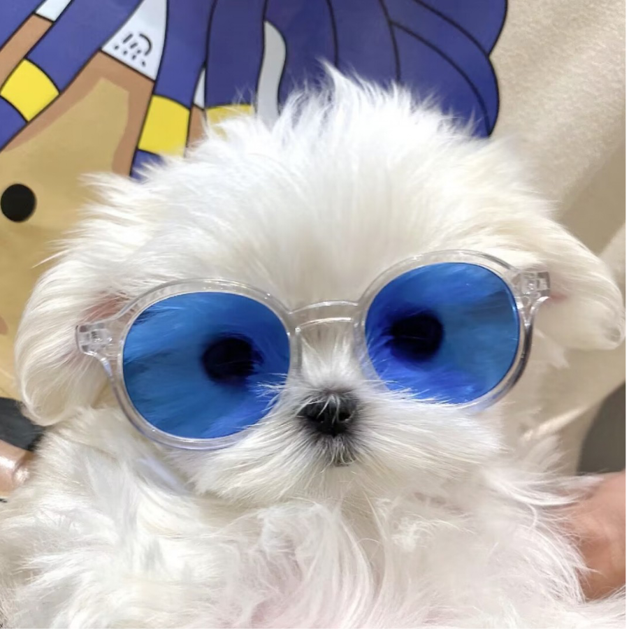 时清