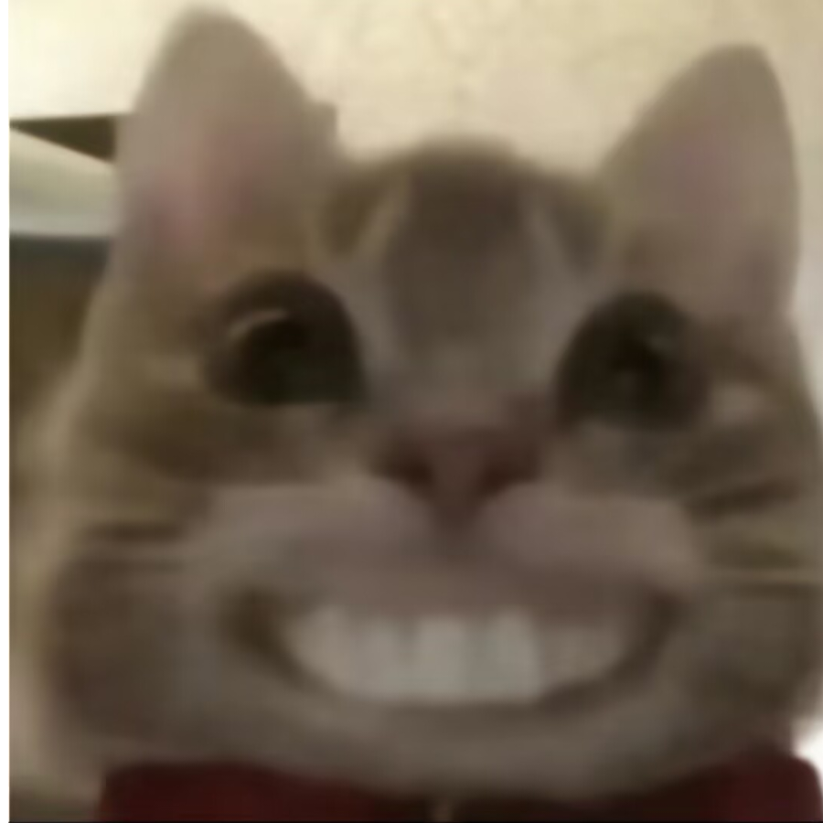 骨头