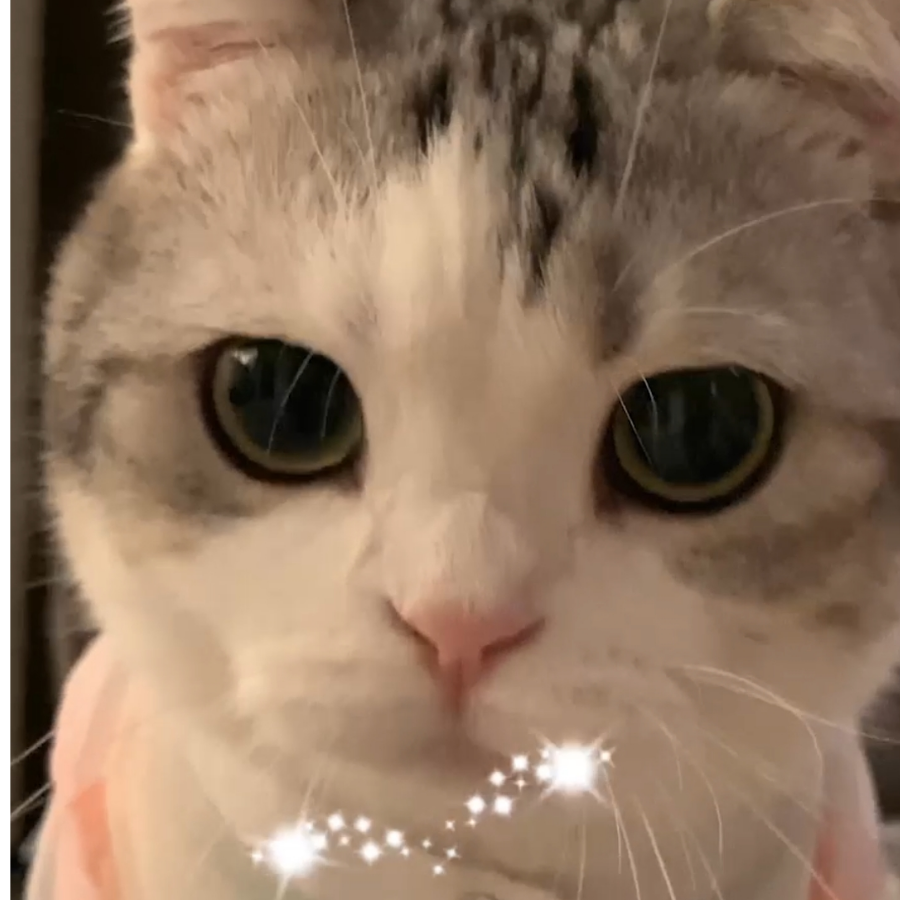 蓝焰