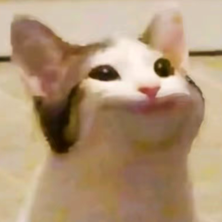 下次一定