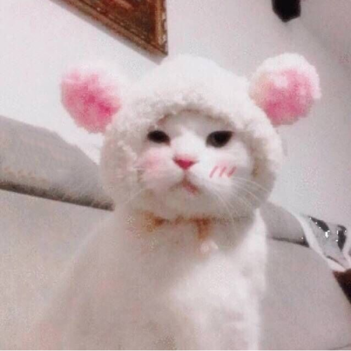 我的心好冷