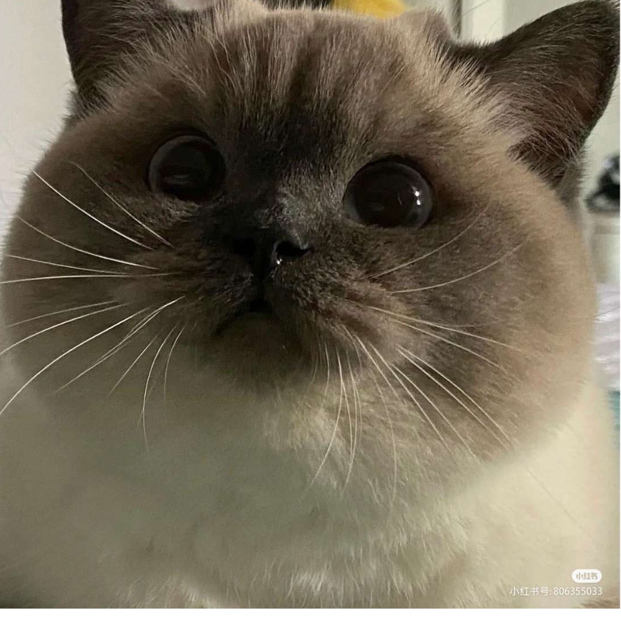 +0
