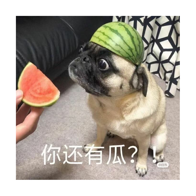 终不察夫民心