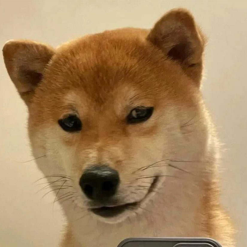 偶嘿叻叻居