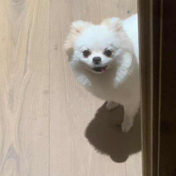 很难拒绝光熙