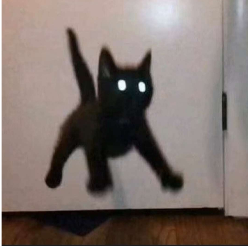 南秋