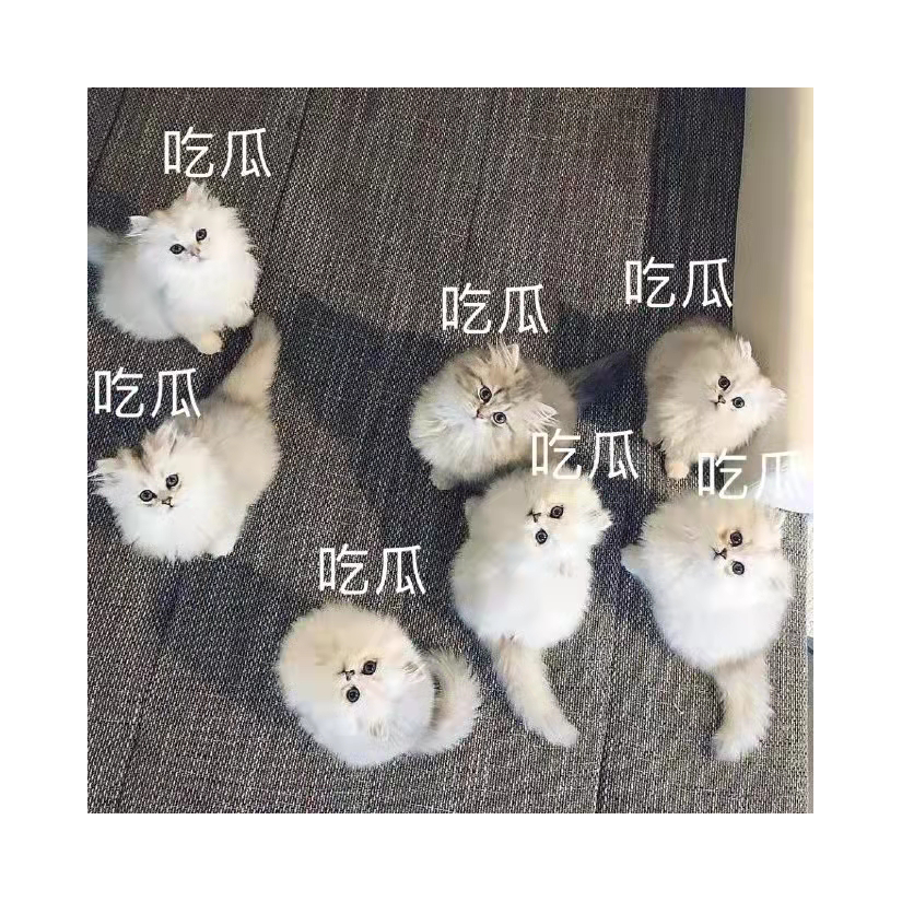 想吃大西瓜