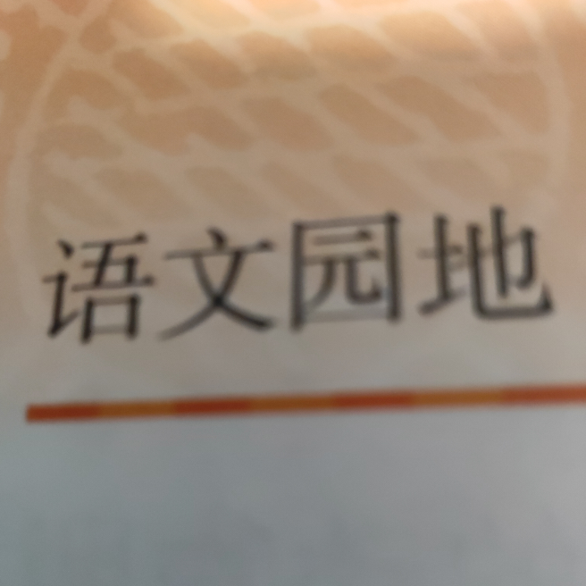 李子不教胡