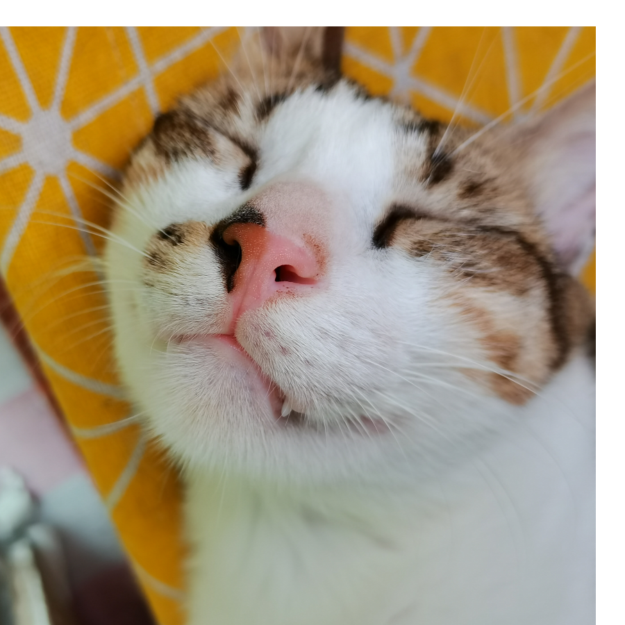 陌生人