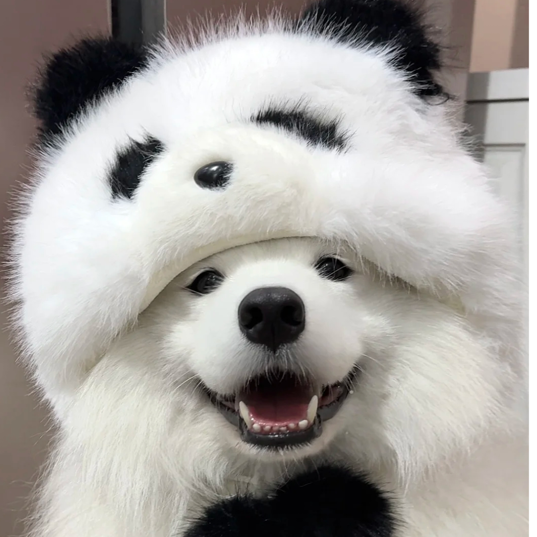 主修敷衍学的画饼大师