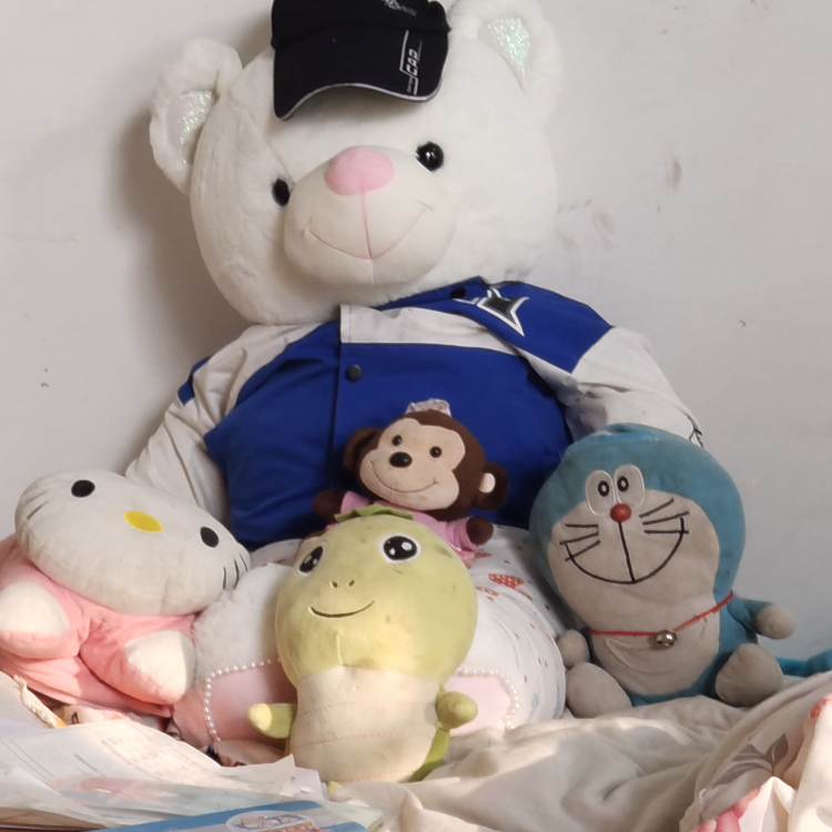 玫瑰绽放花海