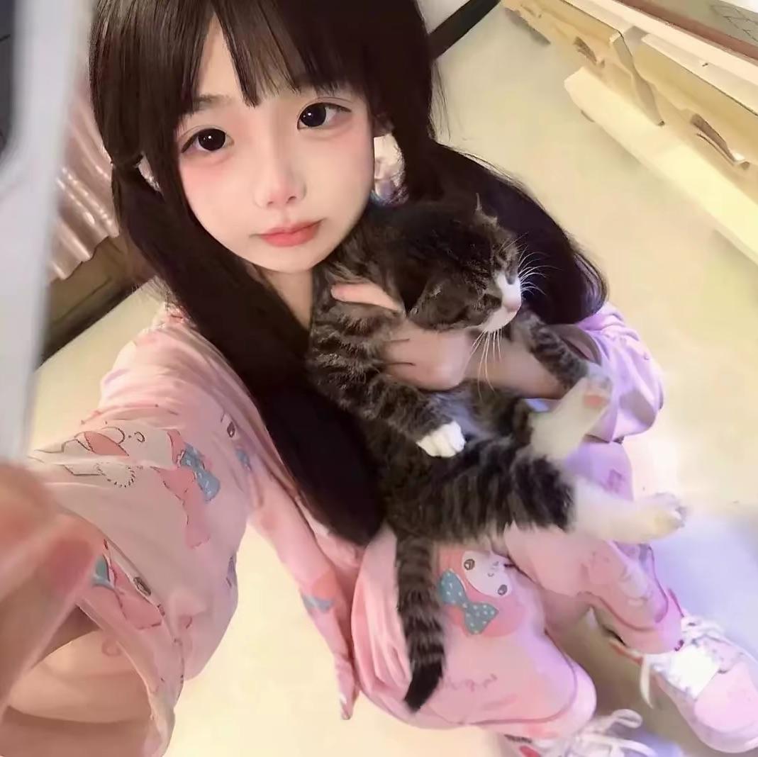 小猫呆呆