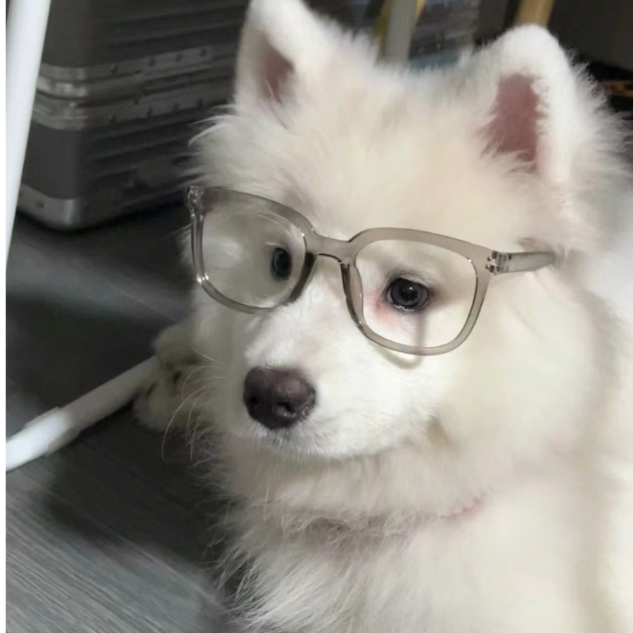 球球