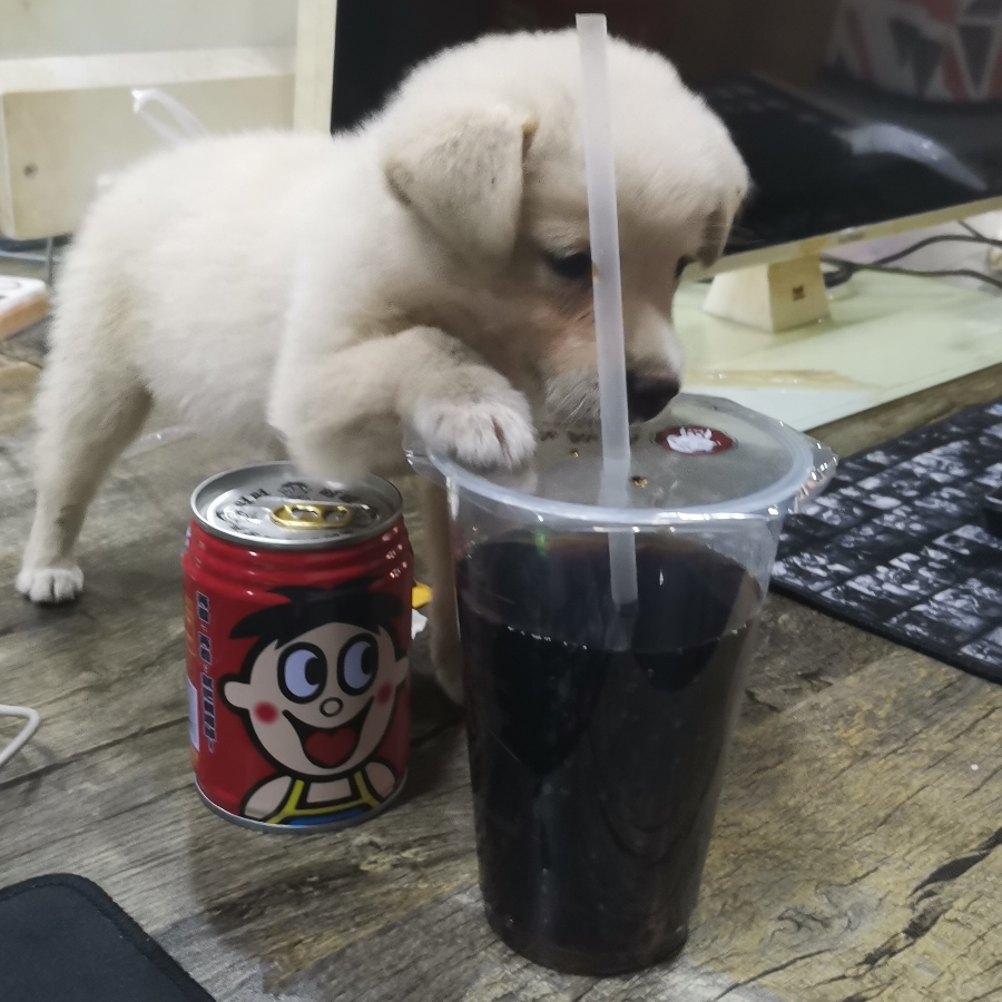 年轻就要冲冲冲！