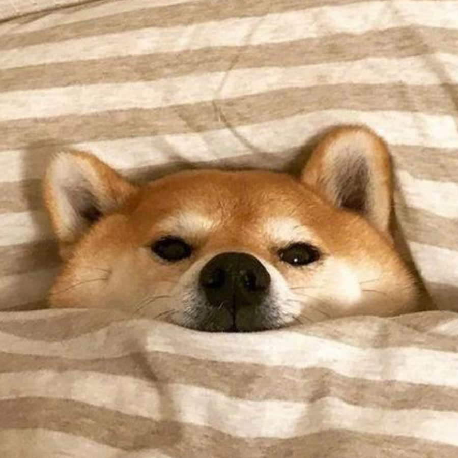 汪欧