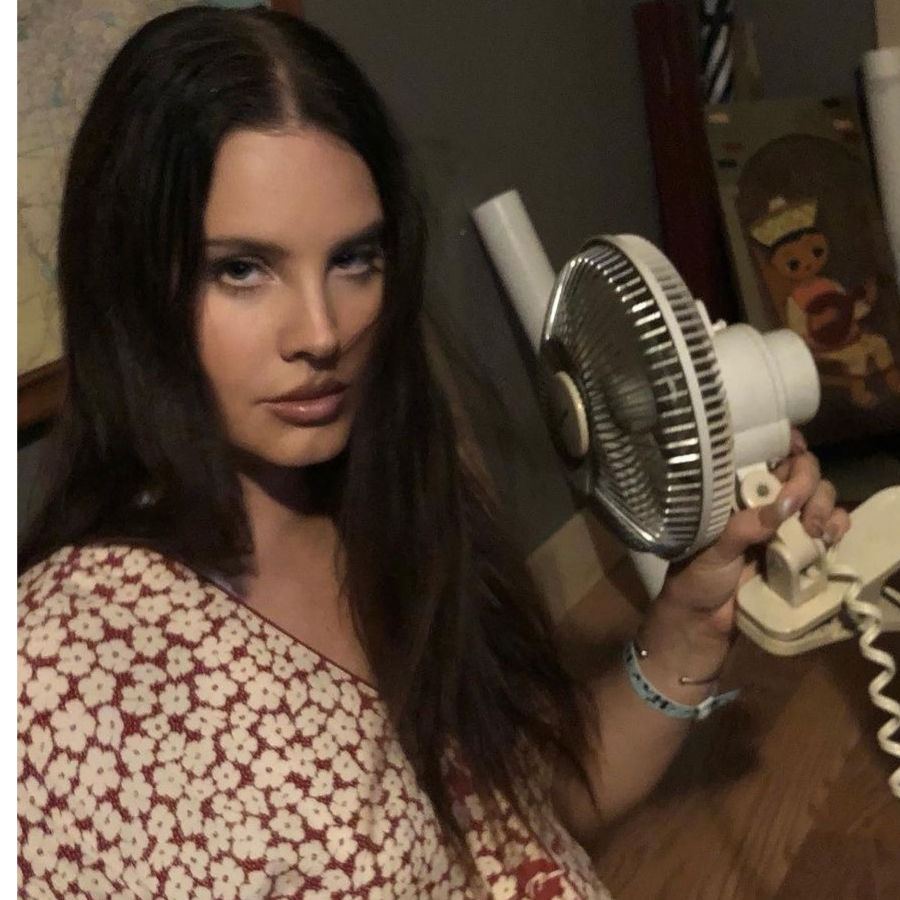 lana_