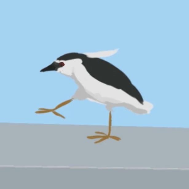 岚枫